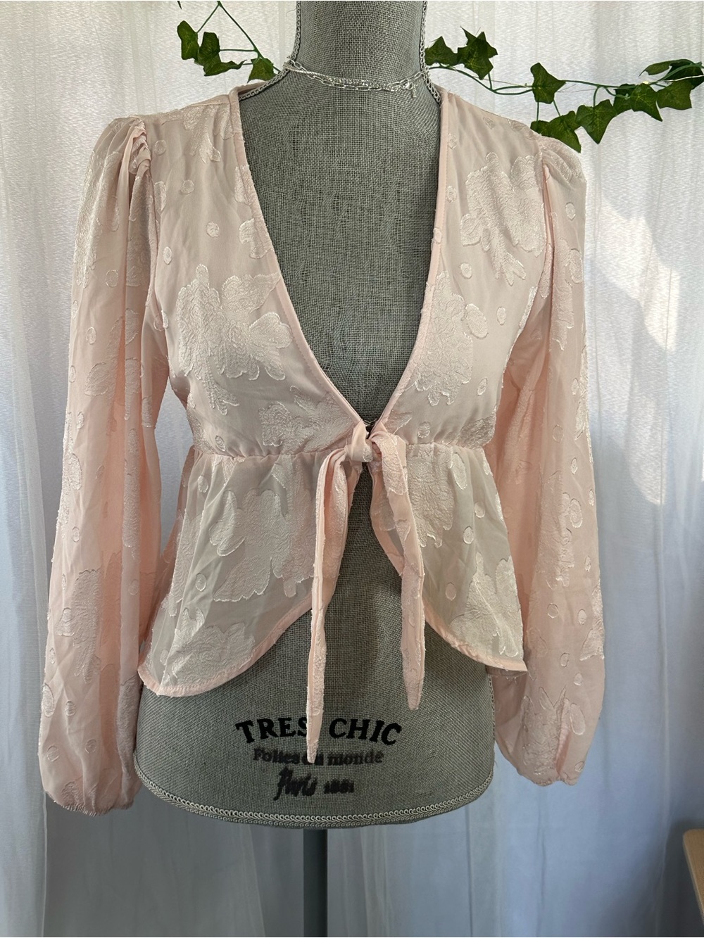 miami Light Blush Tie-Front Sheer Blouse